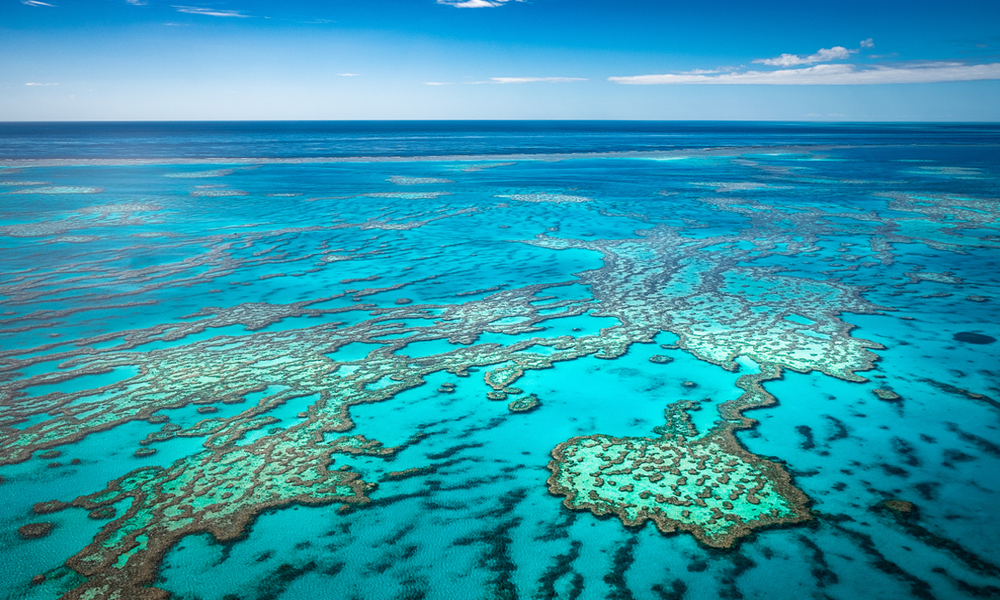 Great Barrier Reef: Keajaiban Alam Dunia yang Terancam